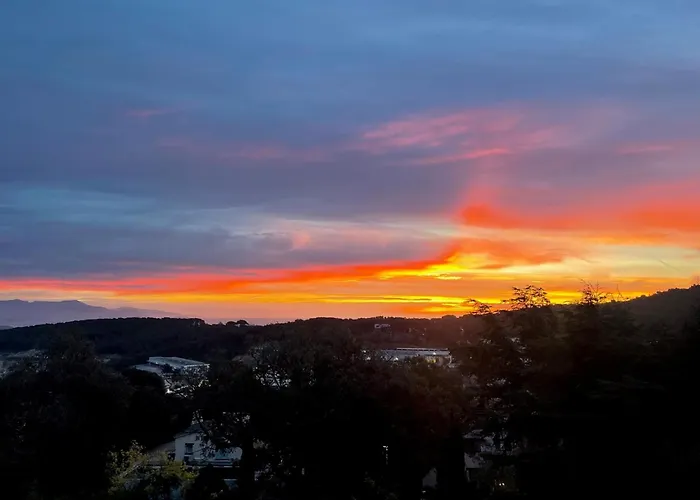 Villa Domaine des Tuilières avec piscine à Vallauris